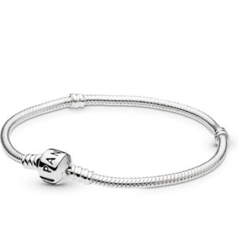 Pandora moments snake chain bracelet